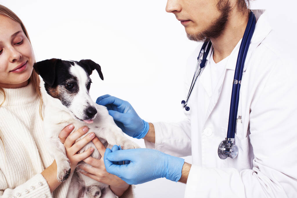 The Best Resource For Finding A Veterinarian In Bunbury